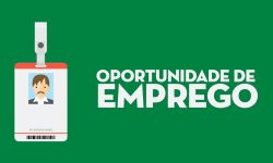 Confira as 224 oportunidades de emprego oferecida pela SETRAER nesta quarta-feira (3) Confira as 224 oportunidades de emprego oferecida pela SETRAER nesta quarta-feira (3)