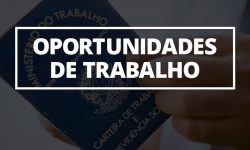 Secretaria de Trabalho e Renda de Catalão (SINE) oferece 219 vagas de emprego para esta quinta-feira (09); confira Secretaria de Trabalho e Renda de Catalão (SINE) oferece 219 vagas de emprego para esta quinta-feira (09); confira