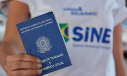 Confira as 215 oportunidades de emprego oferecida pela SETRAER nesta sexta-feira (03) Confira as 215 oportunidades de emprego oferecida pela SETRAER nesta sexta-feira (03)