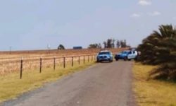 Corpo é encontrado em lavoura próximo ao Distrito de Domiciano Ribeiro, em Ipameri