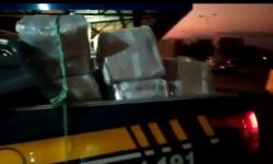 PRF e PM-GO apreendem cerca de 2 toneladas de maconha em Acreúna (GO) e Rio Verde