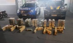PRF apreende droga e provoca prejuízo de quase meio milhão de reais ao tráfico