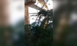 Canoa com 9 pessoas afunda no Lago Serra da Mesa; vídeo mostra desespero