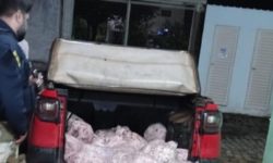 Veículo com cerca de 400 kg de retalhos de carnes sem refrigeração é apreendido pela PRF Veículo com cerca de 400 kg de retalhos de carnes sem refrigeração é apreendido pela PRF