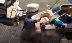 Homem morre ao pular de barco e ser atingido pelo motor, em Aruanã