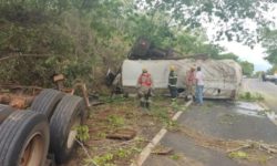 Motorista morre após carreta bitrem carregada com álcool etílico hidratado sair da pista e bater em árvore, na GO-210