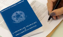Confira as 206 oportunidades de emprego oferecida pela SETRAER nesta terça-feira (01) Confira as 206 oportunidades de emprego oferecida pela SETRAER nesta terça-feira (01)