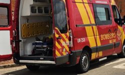 Homem é mordido por cachorro de rua no bairro Mãe de Deus, em Catalão, e é levado à UPA