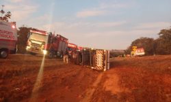 Grave acidente com caminhão cegonha na BR-060 deixa motorista morto em Abadiânia, GO