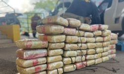 PRF apreende droga em veículo transportado por caminhão-cegonha na BR-153, em Aparecida de Goiânia PRF apreende droga em veículo transportado por caminhão-cegonha na BR-153, em Aparecida de Goiânia