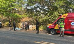 Mulher de 41 anos morre após carro sair da pista e bater em árvore na GO-080, em Goianésia