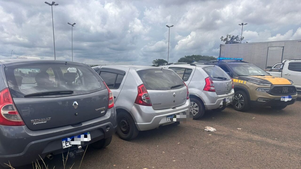 Veículos apreendidos durante a operação do BPMRv. (Foto: divulgação/PMMG).