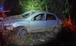 Atropelamento de capivaras termina com carro fora da pista na BR-352, em Patos de Minas