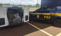 PRF apreende mais de meia tonelada de maconha na BR-050, em Uberaba