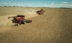 Catalão está entre os destaques da produção de soja em Goiás, que movimentou mais de R$ 30 bilhões em 2026