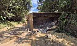 Carreta tomba após passar por buracos e espalha carga de soja na BR-352, em Abadia dos Dourados (MG)