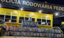 PRF realiza maior apreensão de supermaconha da história em Goiás