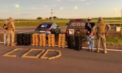 Dois irmãos são presos com 300 quilos de maconha durante operação do COD em Cristalina Dois irmãos são presos com 300 quilos de maconha durante operação do COD em Cristalina
