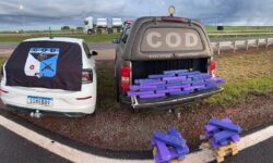 Casal é preso com 60 kg de maconha durante operação policial no Leste de Goiás Casal é preso com 60 kg de maconha durante operação policial no Leste de Goiás