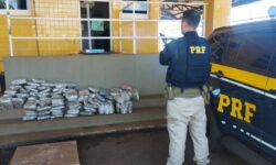 PRF apreende cerca de 60 kg de skunk e prende jovem por tráfico na BR-060, em Rio Verde PRF apreende cerca de 60 kg de skunk e prende jovem por tráfico na BR-060, em Rio Verde