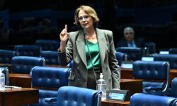 Senado aprova projeto que reconhece estágio como experiência profissional