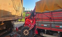 Colisão entre caminhões deixa dois mortos na BR-153, em Aparecida de Goiânia Colisão entre caminhões deixa dois mortos na BR-153, em Aparecida de Goiânia