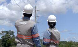 Escola de Eletricistas abre inscrições em Goiás com 100 vagas gratuitas em quatro cidades Escola de Eletricistas abre inscrições em Goiás com 100 vagas gratuitas em quatro cidades