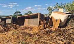 Motorista de 51 anos morre após caminhão carregado com milho tombar na MG-188, em Paracatu Motorista de 51 anos morre após caminhão carregado com milho tombar na MG-188, em Paracatu