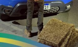 Homem é preso suspeito de furtar placas de grama de canteiro público em Catalão Homem é preso suspeito de furtar placas de grama de canteiro público em Catalão