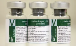Vacina da dengue é suspensa após duas mortes suspeitas; entenda o que aconteceu
