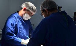 Governo de Goiás registra 64 transplantes em maio e avança com doações de órgãos Governo de Goiás registra 64 transplantes em maio e avança com doações de órgãos