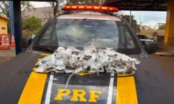 Mulheres são flagradas com drogas presas ao corpo durante fiscalização da PRF na BR-060