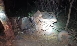 Homem morre após caminhonete sair da pista e bater contra árvore na BR-153, em Campinorte (GO)
