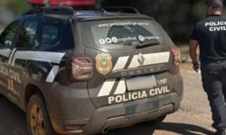 Suspeito de furtos e roubos é preso preventivamente pela Polícia Civil em Cristalina