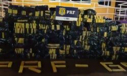 PRF e GCM de Rio Verde apreendem quase 7,5 toneladas de maconha na BR-060; maior apreensão dos últimos anos nas rodovias federais de Goiás PRF e GCM de Rio Verde apreendem quase 7,5 toneladas de maconha na BR-060; maior apreensão dos últimos anos nas rodovias federais de Goiás