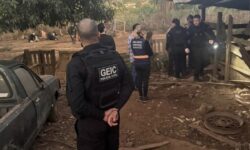 Polícia Civil flagra abate clandestino de animais durante operação conjunta em Caldas Novas