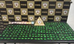Cão farejador da PM encontra 210 papelotes de cocaína enterrados nos fundos de bar em Uberlândia