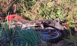 Motociclista fica ferido após atropelar cachorro e sofrer acidente na GO-330, em Catalão