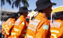 Operação Cerrado Vivo 2026 é lançada em Goiás com reforço no combate aos incêndios florestais Operação Cerrado Vivo 2026 é lançada em Goiás com reforço no combate aos incêndios florestais