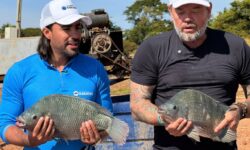 Pedro Gravata recebe Richard Rasmussen em Três Ranchos para gravação sobre produção de tilápias Pedro Gravata recebe Richard Rasmussen em Três Ranchos para gravação sobre produção de tilápias