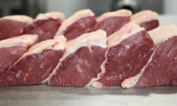 União Europeia confirma veto à carne brasileira e suspende importações a partir de setembro