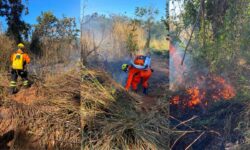 Incêndio em vegetação é controlado antes de atingir o Parque Estadual da Serra de Caldas Novas