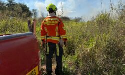 Incêndio em vegetação mobiliza Corpo de Bombeiros próximo ao Parque Estadual do Pau Furado, em Araguari