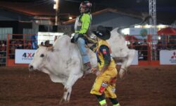 Expo Catalão 2026 abre rodeios em cavalos e touros nesta segunda-feira (20); confira a programação Expo Catalão 2026 abre rodeios em cavalos e touros nesta segunda-feira (20); confira a programação